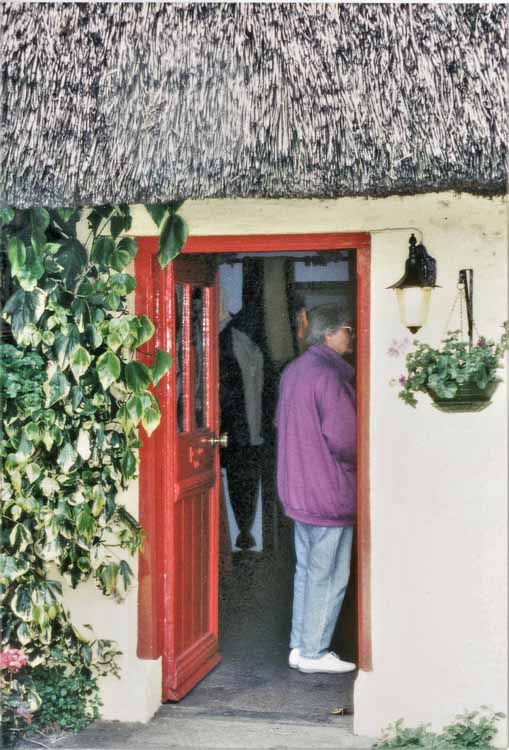 thatched roof houses